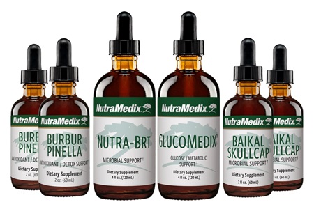 Lyme Support Package